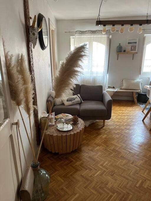Appartement Carmes, Hypercentre Toulouse Exterior photo